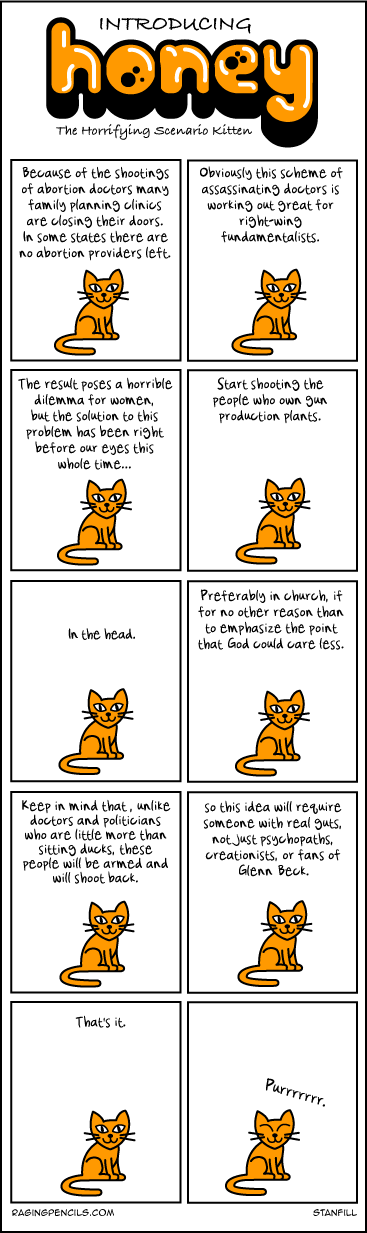 Introducing Honey, the Horrifying Idea Kitten