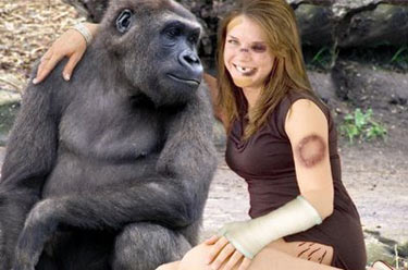 Gorilla Fucks Girl In Pussy