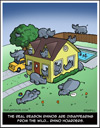 rhino hoarders comic