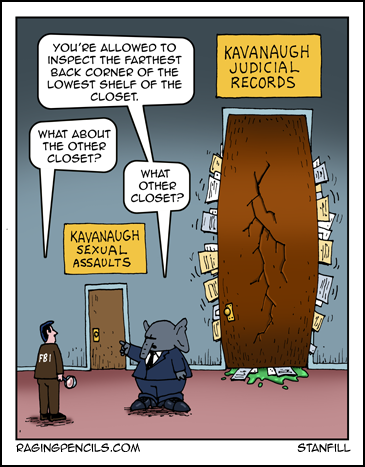 “There is no other closet. There has never been another closet. Stop talking about closets!” Comic about Kavanaugh's hidden judicial files.
