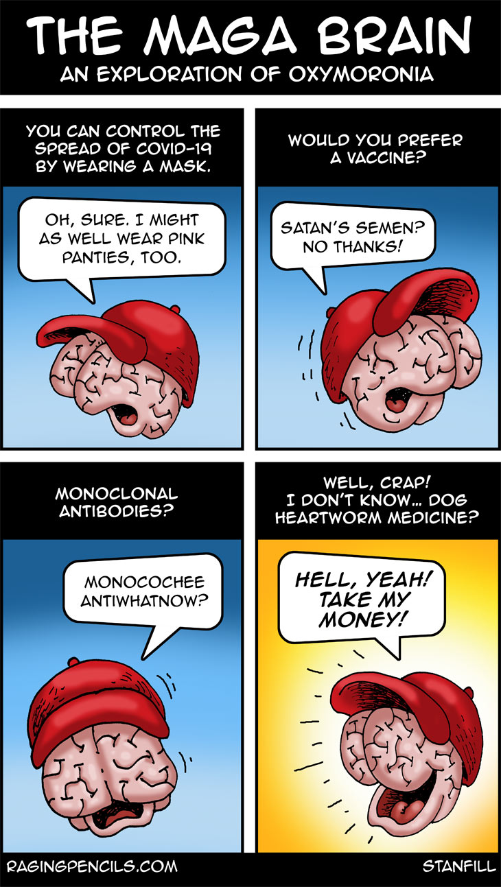 The fissures on these brains are drawn for dramatic effect as MAGA brains are smooth as a baby cue ball. The progressive editorial cartoon about the maga brain and anti-vaxxers.