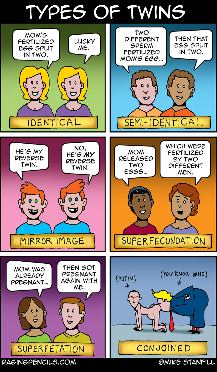 The progressive editorial cartoon about types of twins.