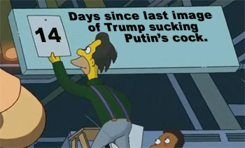 trump sucks putin's tiny cock