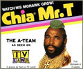 mr. t chia