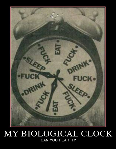 biological clock